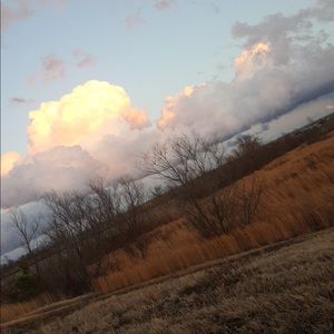 Meet your Posher, Maggie